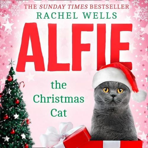 Alfie the Christmas Cat