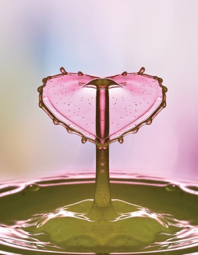 Daily Planner Journal