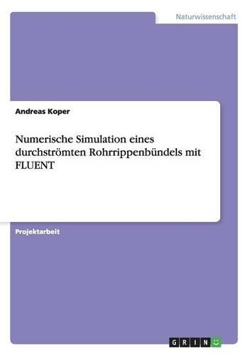 Numerische Simulation eines durchströmten Rohrrippenbündels mit FLUENT