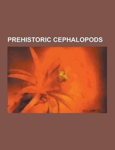 Prehistoric Cephalopods