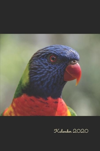 Regenbogenlori: Jahresplaner / Terminplaner / Kalender 2020 Papagei Sittich - DIN A5 - Vogel Geschenke