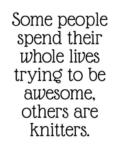 Some People Spend Their Whole Lives Trying to Be Awesome, Others Are Knitters
