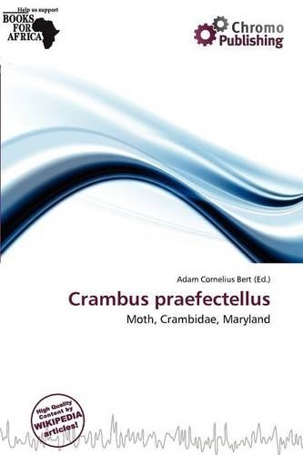 Crambus Praefectellus