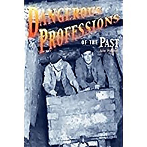 Rigby Focus Fluency: Leveled Reader Bookroom Package Nonfiction (Levels L-O) Dangerous Professions of the Past: (English)