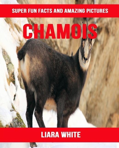 Chamois