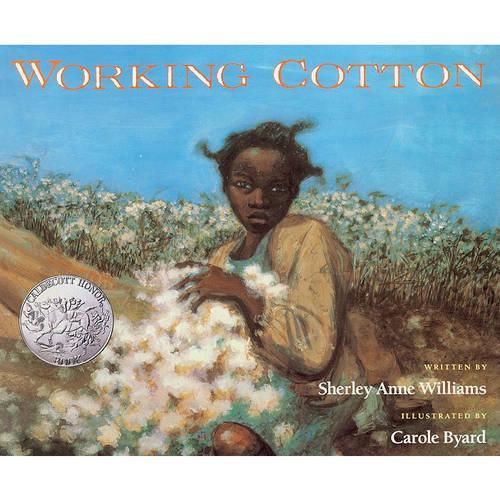 Working Cotton