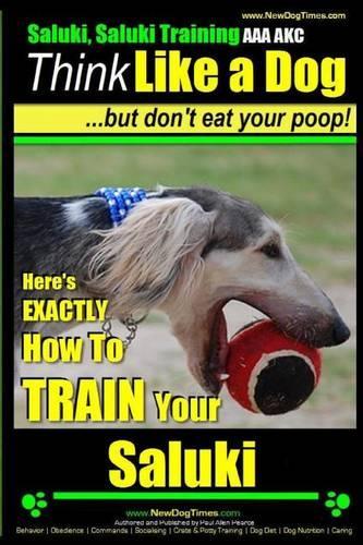 Saluki, Saluki Training AAA Akc - Think Like a Dog But Don't Eat Your Poop!