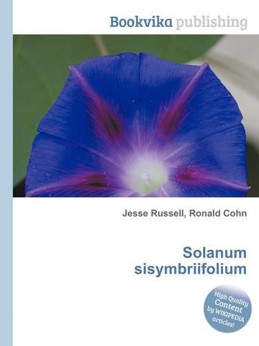 Solanum Sisymbriifolium: (English)