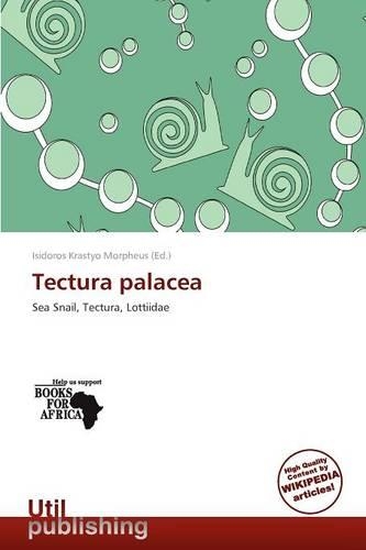 Tectura Palacea