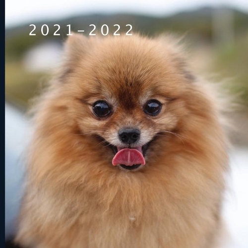 2021 - 2022: 18 Month Calendar Monthly Photo Calendar July 2021 - December 2022 Monthly Calendar with U.S./UK/ Canadian/Christian/Jewish/Muslim Holidays