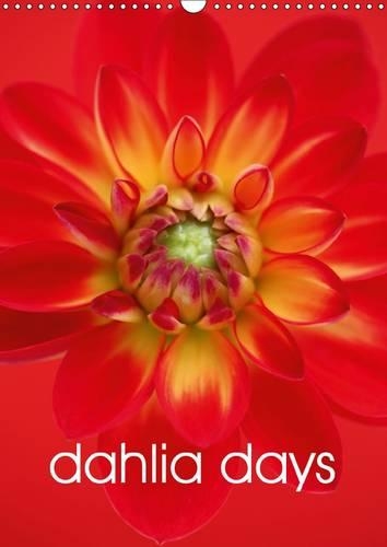 dahlia days 2016