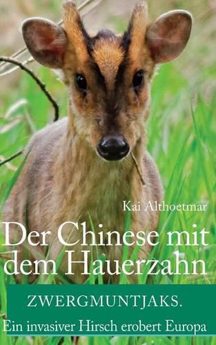 Der Chinese Mit Dem Hauerzahn