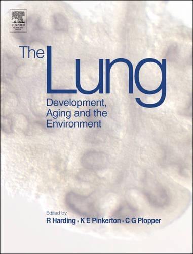 The Lung