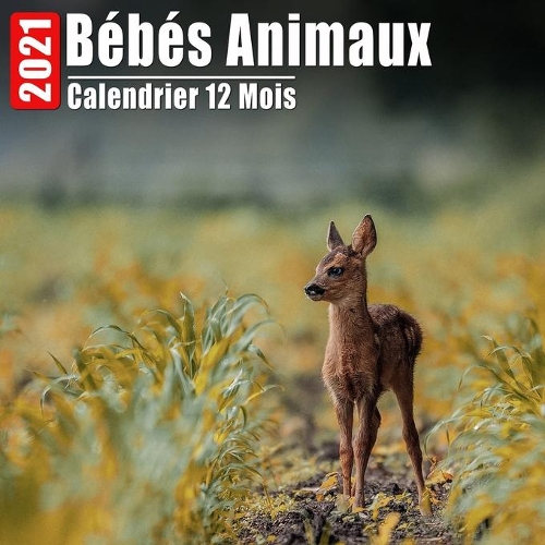 Calendrier 2021 Bébés Animaux: Mini Photos Calendrier Des Bébés Animaux Et Organisateur Mensuel Avec Citations Inspirantes Chaque Mois