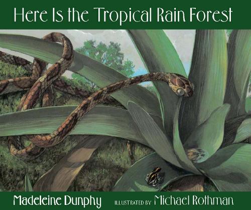 Here Is the Tropical Rain Forest: (Web of Life)
