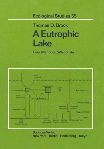 A Eutrophic Lake