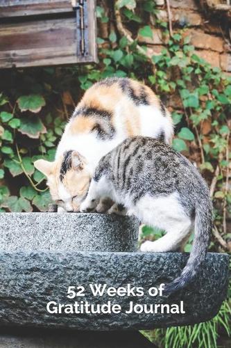 52 Weeks of Gratitude