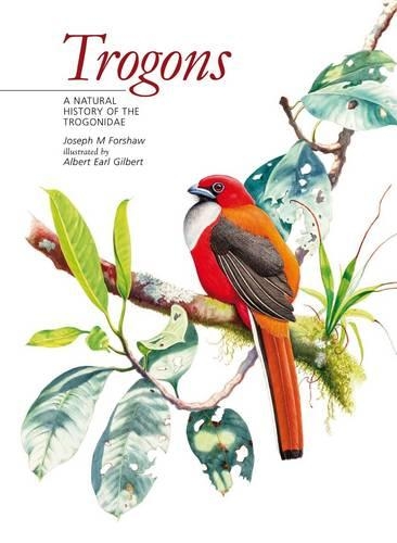 Trogons