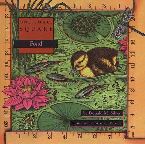 Pond: (One Small Square)