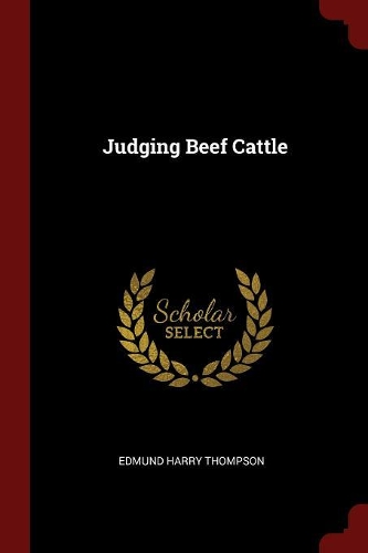 Judging Beef Cattle
