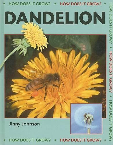 Dandelion