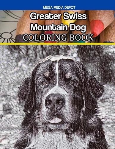 Greater Swiss Mountain Dog Coloring Book