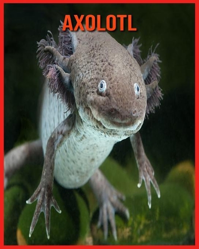 Axolotl: Axolotl Affascinanti Fatti per i bambini con immagini mozzafiato!