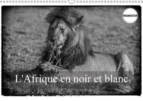 L'Afrique En Noir Et Blanc 2018: Vision Inhabituelle Du Masai Mara(Calvendo Animaux)