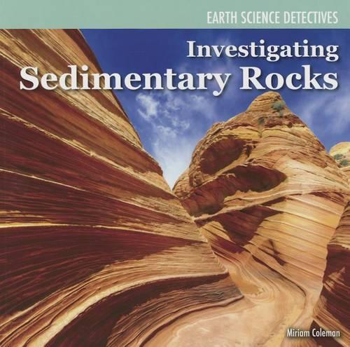 Investigating Sedimentary Rocks: (Earth Science Detectives)