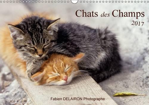 Chats Des Champs 2017: 12 Images De Chats De Campagne(Calvendo Animaux)