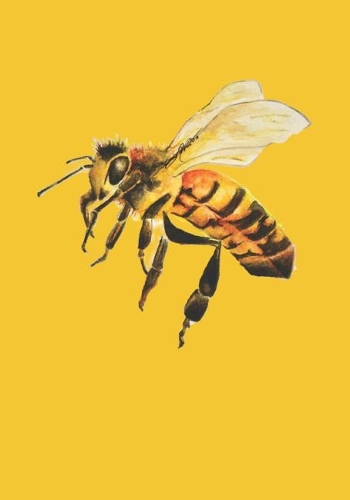 Honey Bee 2019 Daily Planner