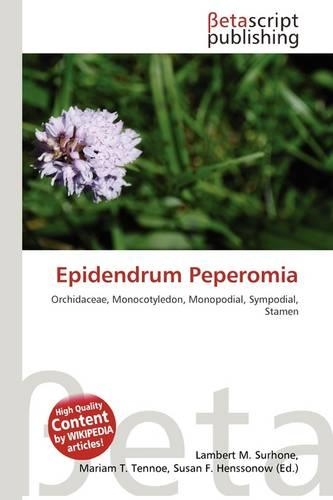 Epidendrum Peperomia: (English)