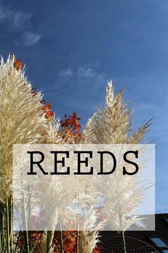 Reeds