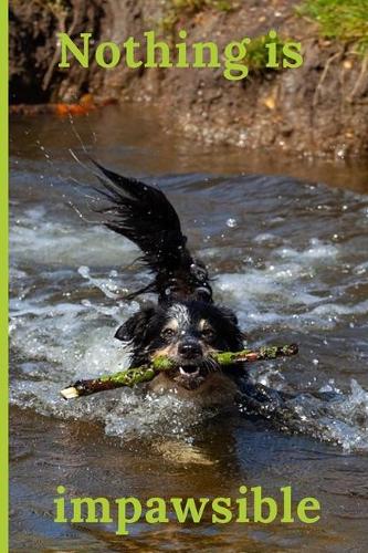 Nothing is impawsible