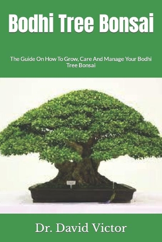 Bodhi Tree Bonsai