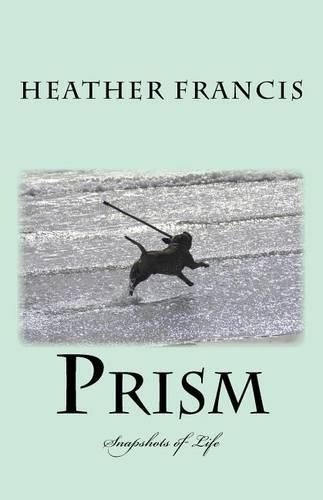 Prism: Snapshots of Life