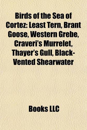 Birds of the Sea of Cortez