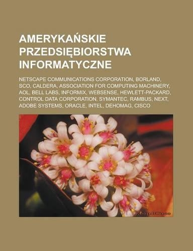 Ameryka Skie Przedsi Biorstwa Informatyczne