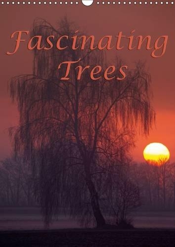 Fascinating Trees 2015: Enjoy fascinating trees throughout the year.(Calvendo Nature)