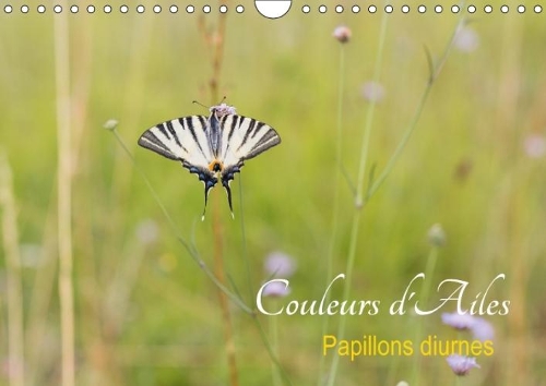 Couleurs D'ailes 2018
