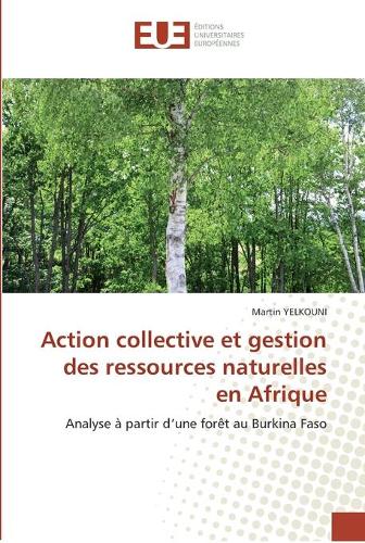 Action collective et gestion des ressources naturelles en afrique: (Omn.Univ.Europ.)