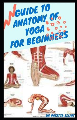 Guide To Anatomy Of Yoga For Beginners