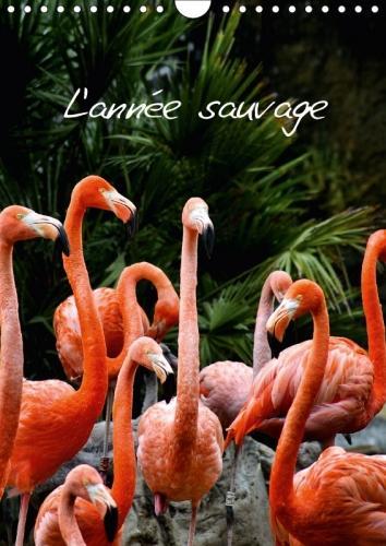 L'Annee Sauvage 2018