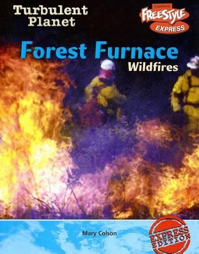 Forest Furnace