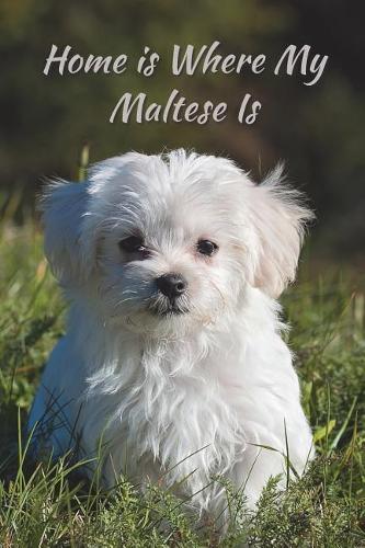 Home Is Where My Maltese Is