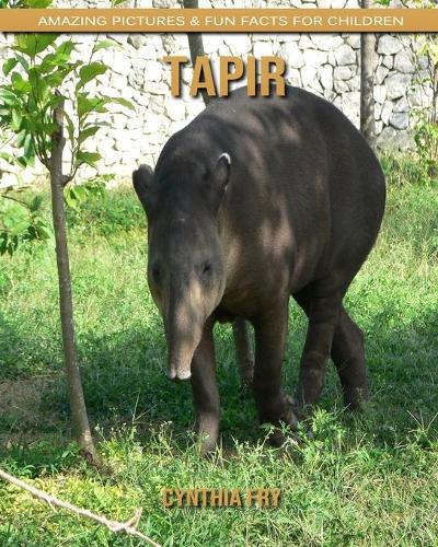 Tapir: Amazing Pictures & Fun Facts for Children