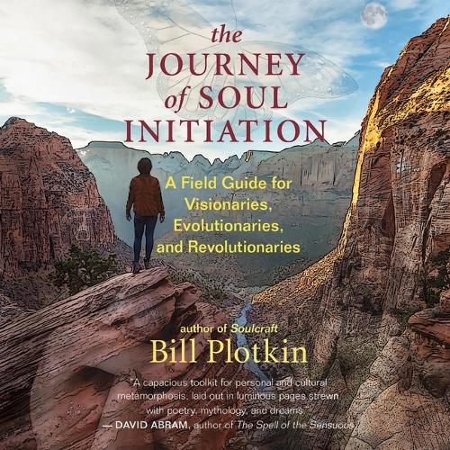 Journey of Soul Initiation: A Field Guide for Visionaries, Evolutionaries, and Revolutionaries