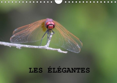 Les Elegantes 2018