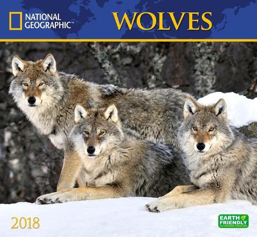 National Geographic Wolves 2018 Wall Calendar