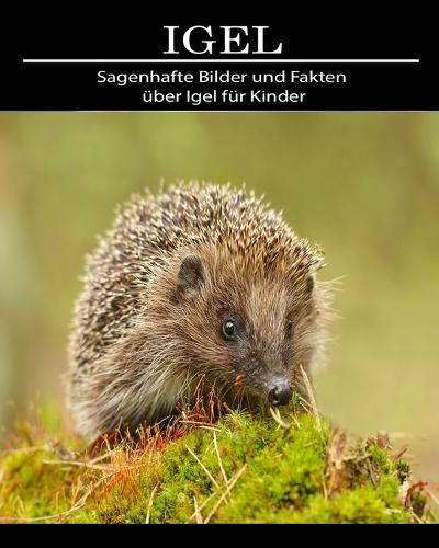 Igel: Sagenhafte Bilder und Fakten über Igel für Kinder